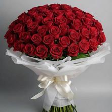 Букет 101 Красная роза Блэк Мэджик в Старой Ситне
