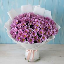 Букет цветов из:  Хризантемы в Старой Ситне