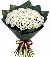 Букет цветов из:  Хризантемы в Старой Ситне