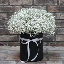 Цветочная композиция из Гипсофила в шляпной коробке в Старой Ситне