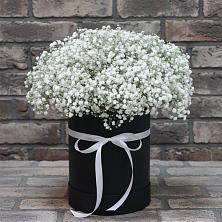Цветочная композиция из Гипсофила в шляпной коробке в Старой Ситне