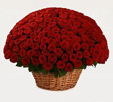 Премиум букет из: Розы #REPLACE_PRED# Старой Ситне